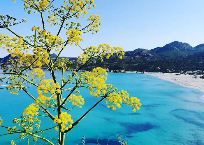 Campeggio Village De L'ostriconi 3 Etoiles *