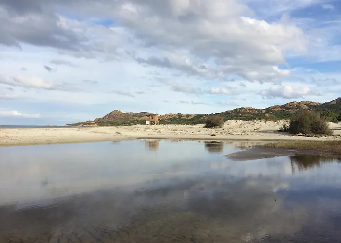 Village De L'ostriconi 3 Etoiles 营地 Palasca (Corsica)
