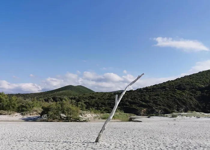 Village De L'ostriconi 3 Etoiles * Palasca (Corsica)