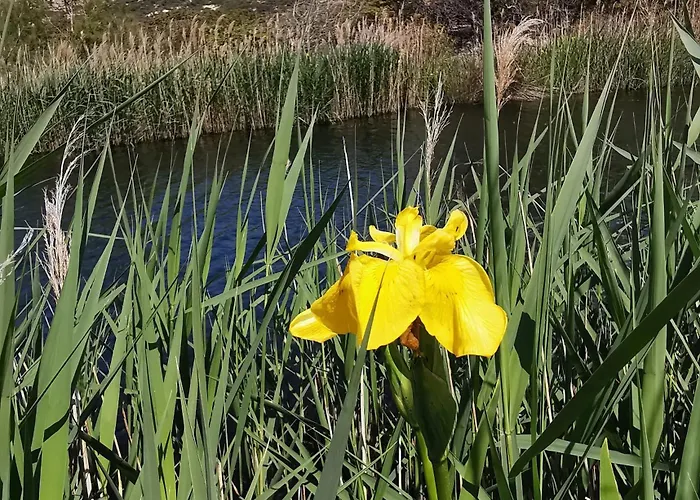 营地 Village De L'ostriconi 3 Etoiles *